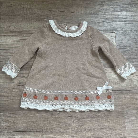 Max Studio Other - NWOT Max Studio Knit Cotton Pumpkin Fall Sweater